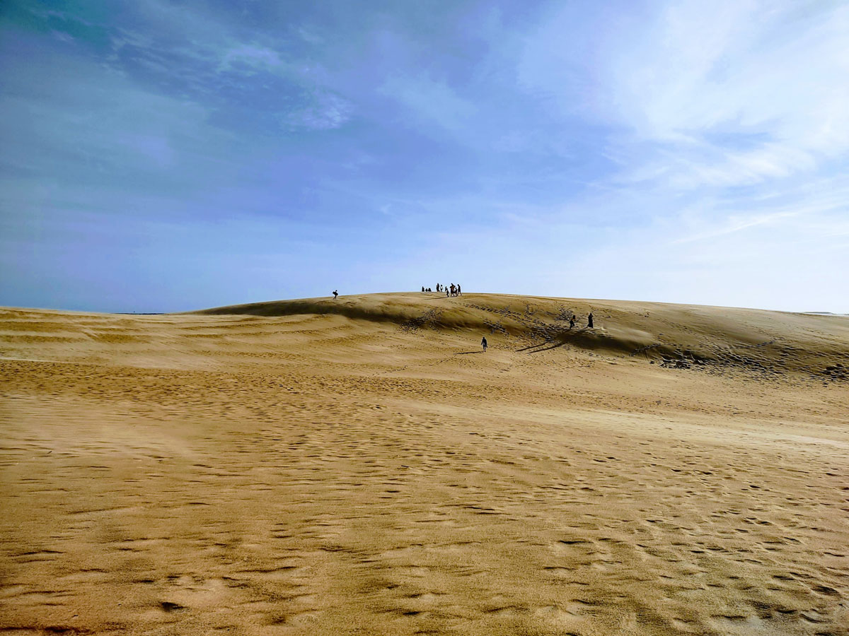 Soaring Sands And Shifting Dreams:  A Guide To Jockey’s Ridge State Park